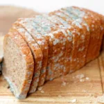 Types of Food Mold with Pictures: Kitchen Recyclers & Their Adaptations