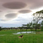 Weirdest Clouds: 8 Unusual Cloud Formations Explained