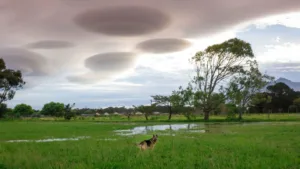 Weirdest Clouds: 8 Unusual Cloud Formations Explained