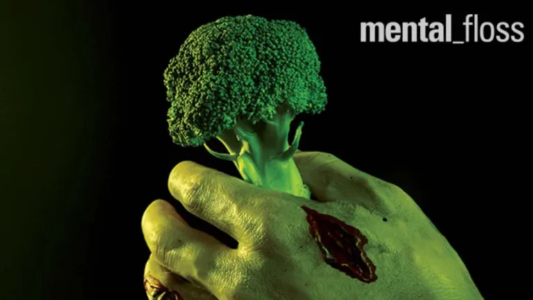 What Does a Zombie Eat? Exploring Diverse Undead Diets