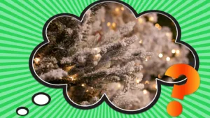 What Is Tree Flocking Made Of? The History & Process