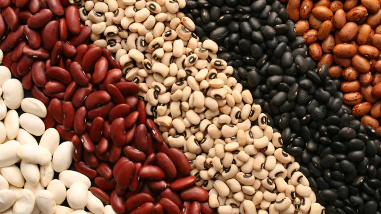 Only Edible Food That Never Goes Bad: Shelf-Stable Superfoods for Emergencies