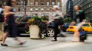 Who Designed Sidewalks: Haussmanns Parisian Legacy