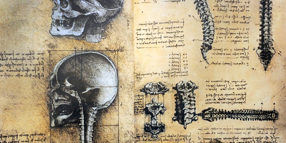 Why Is Leonardo Da Vinci Influential: Science & Art Fusion