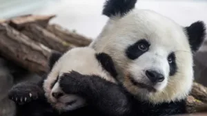 Worst Animal Parents: Shocking Examples of Neglect