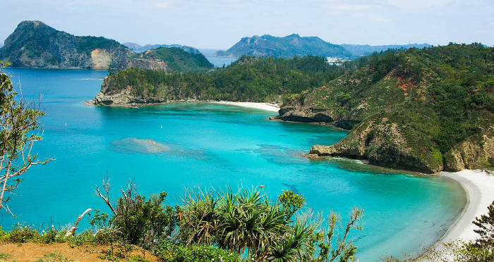 Bermuda Triangle in Japan: Mysteries of the Devils Sea