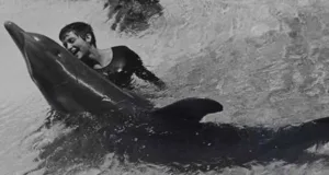 Dolphin Mates With Lady: Margaret Howe Lovatts Bond with Peter