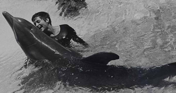 Dolphin Mates With Lady: Margaret Howe Lovatts Bond with Peter