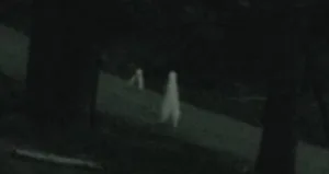 Fresno Nightcrawler Pants: Cryptid or Costume?