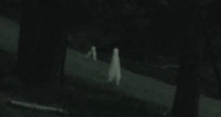 Fresno Nightcrawler Pants: Cryptid or Costume?