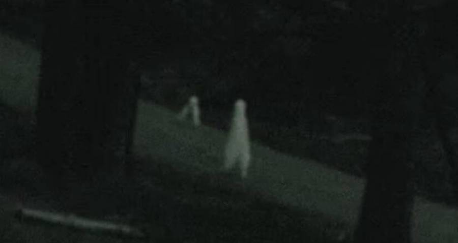 Fresno Nightcrawler Pants: Cryptid or Costume?