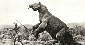 Giant Sloth Sightings: Exploring the Mystery of the Mapinguari