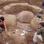 Glyptodon Argentina: Family of Giant Armadillos Unearthed