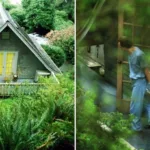 Kurt Cobains House Now: History and Legacy of Nirvanas Icon