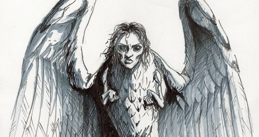 Mexican Owl Legends: La Lechuzas Terror