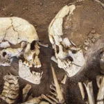 The Lovers of Valdaro: Skeletons Embraced in Neolithic Tomb