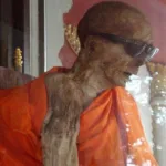 Self Mummified Monks: The Buddhist Process of Sokushinbutsu