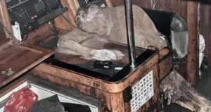 Mummified Sailor Found on Yacht: Manfred Bajorats Solitary Voyage