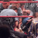 Owen Hart Death Date: Tragedy in the WWE Rings