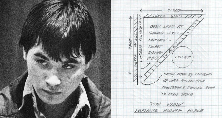 Phrogging Cases: Terrifying True Stories of Secret Invaders