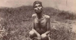 Pictures of Feral People: The Untold Stories of Isolation