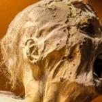 Pregnant Guanajuato Mummy: Chilling Tales from Mexicos Crypts