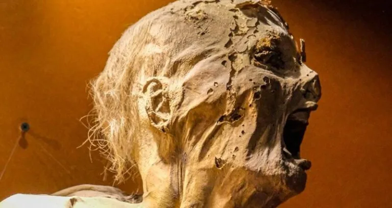 Pregnant Guanajuato Mummy: Chilling Tales from Mexicos Crypts