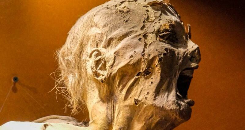 Pregnant Guanajuato Mummy: Chilling Tales from Mexicos Crypts