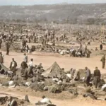 Rheinwiesenlager: The Hidden Tragedy After World War II