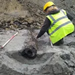 Samen Kondorura: Fascinating News on History