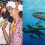 Tom & Eileen Lonergan: Unsolved Dive Mystery - Bodies Never Found