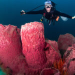 8 Animals That Dont Poop And Their Unique Alternatives