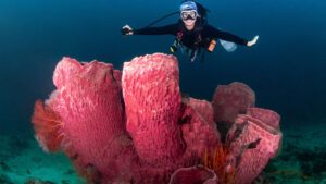 8 Animals That Dont Poop And Their Unique Alternatives