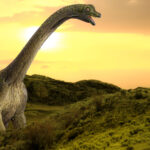 Average Dinosaur Lifespan May Surprise You