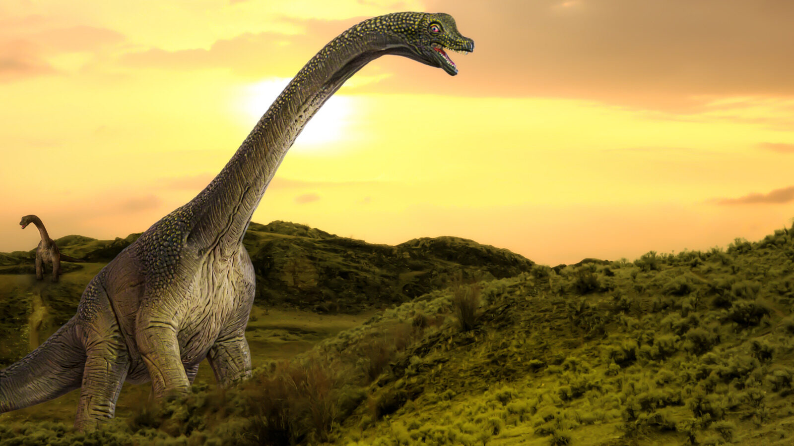 Average Dinosaur Lifespan May Surprise You