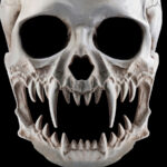 Can Humans Ever Evolve To Be Venomous