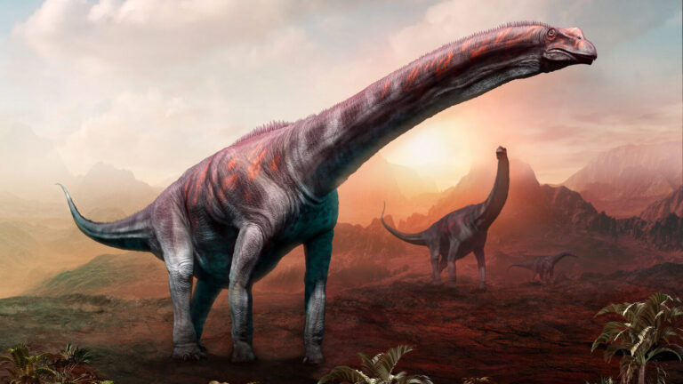 Dinosaurs In Antarctica A Different Landscape Unveiled
