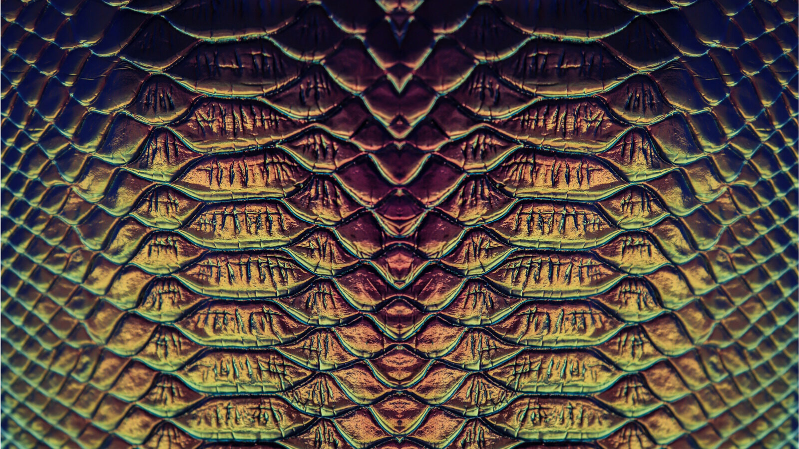 Florida Rainbow Snake History And Mysteries Uncovered