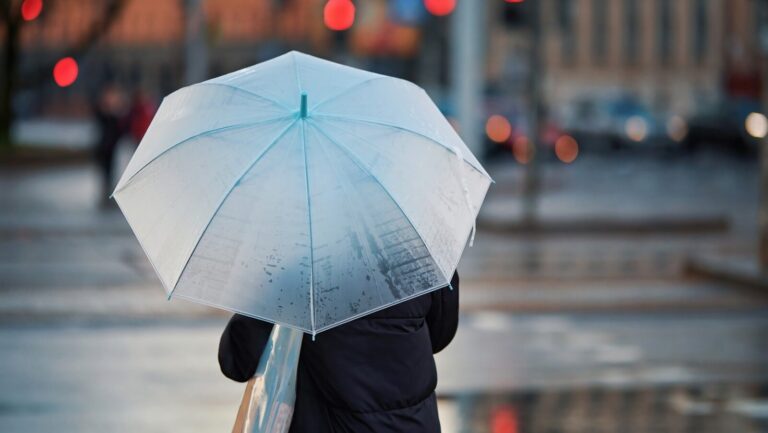 Rainiest Cities In The United States You Should Know