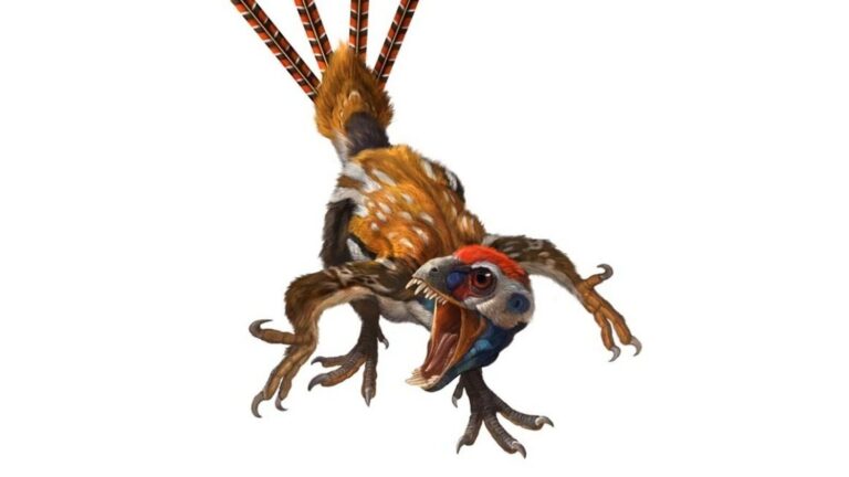 Smallest Dinosaur Ever Discovered Had Unique Feature