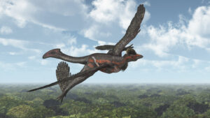 Smallest Dinosaur Ever Discovered Had Wings In Surprising Location