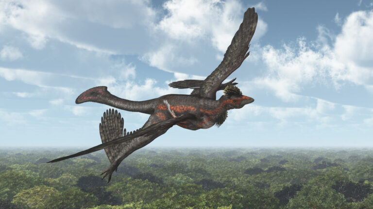 Smallest Dinosaur Ever Discovered Had Wings In Surprising Location