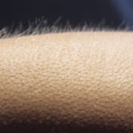 The Body Part That Explains Why Humans Get Goosebumps