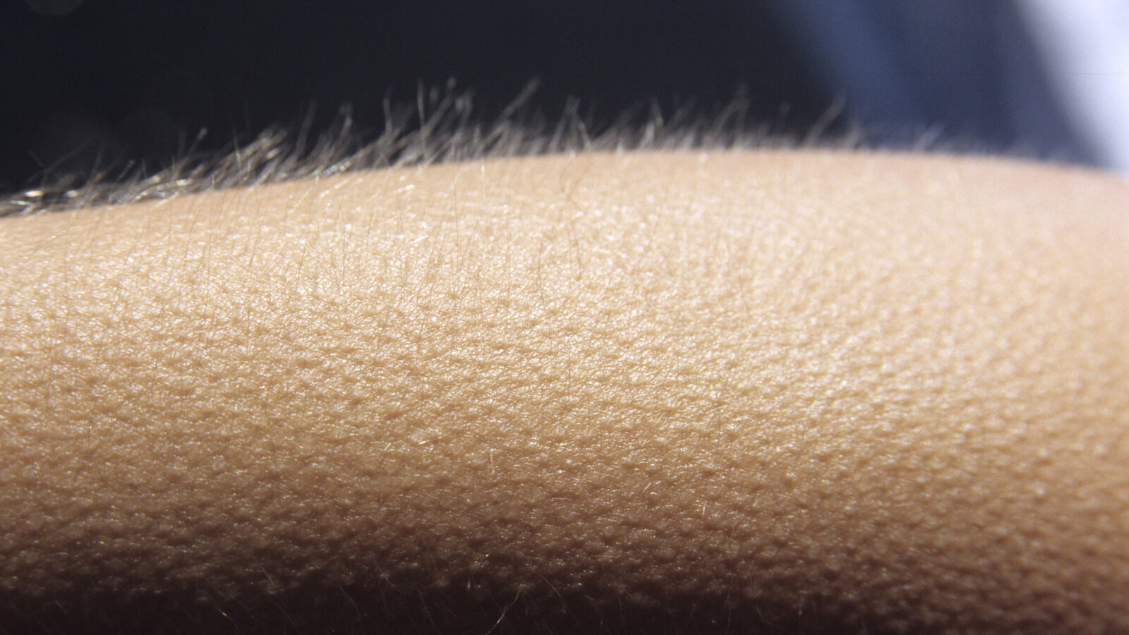 The Body Part That Explains Why Humans Get Goosebumps