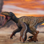 The Real Appearance Of Dinosaur Feathers