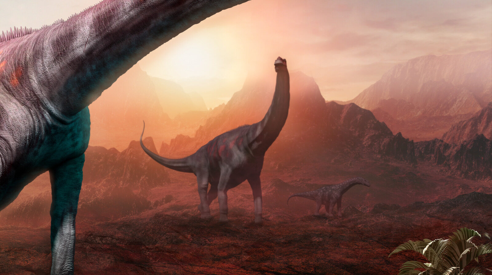 Why This Plant Eating Dinosaur Was Highly Successful