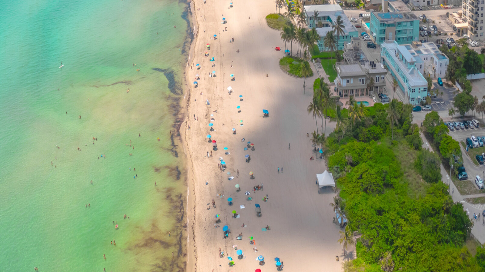Floridas Underwater Snorkel Trail Helps Save Coral Reefs