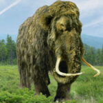 One Major Reason Scientists Aim To Revive Woolly Mammoths