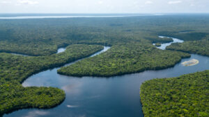 Reasons Why Some Rivers Split Explained