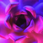 Scientists Discover Method To Create Glowing Succulent Plants